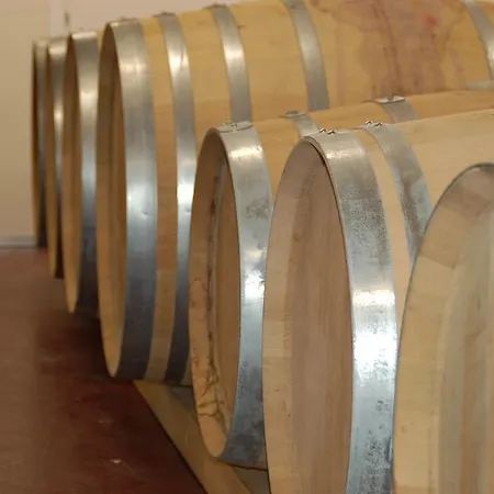 Διαμέρισμα Sardini