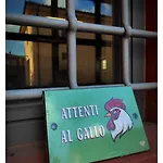 Sardini