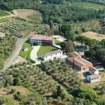 Sardini *