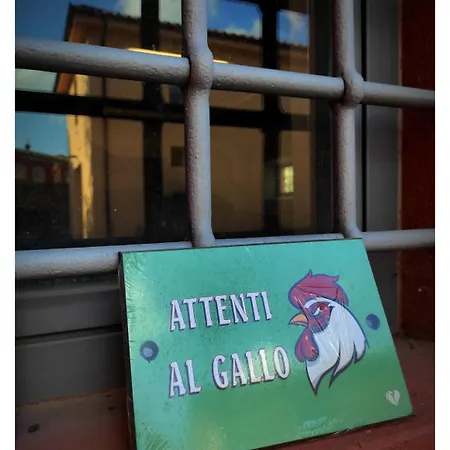 Sardini
