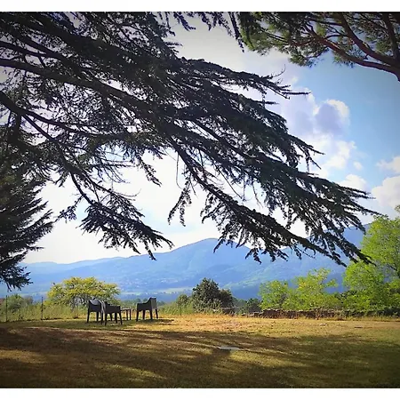 Sardini Апартаменты *