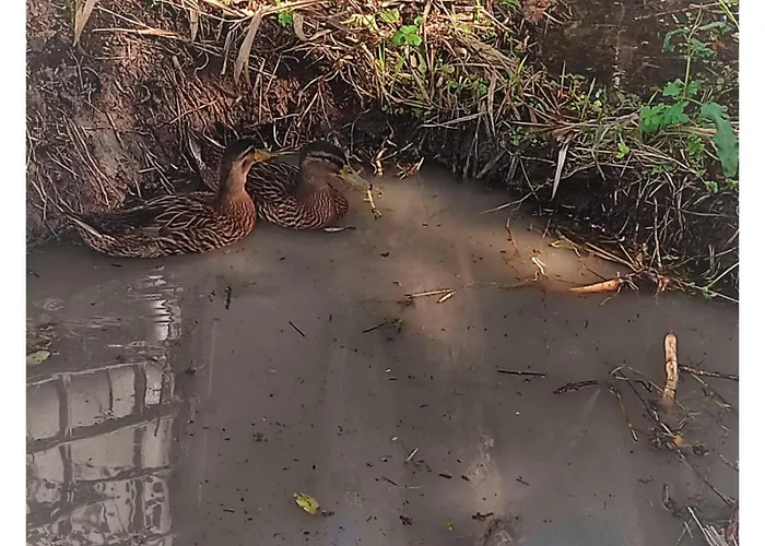 Апартаменты Sardini *