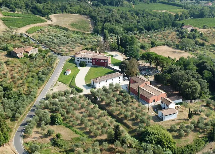 Sardini *
