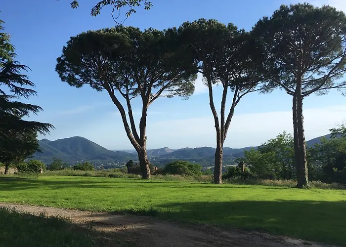 Sardini Апартаменты *